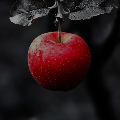 Copie de myht-logo (4)